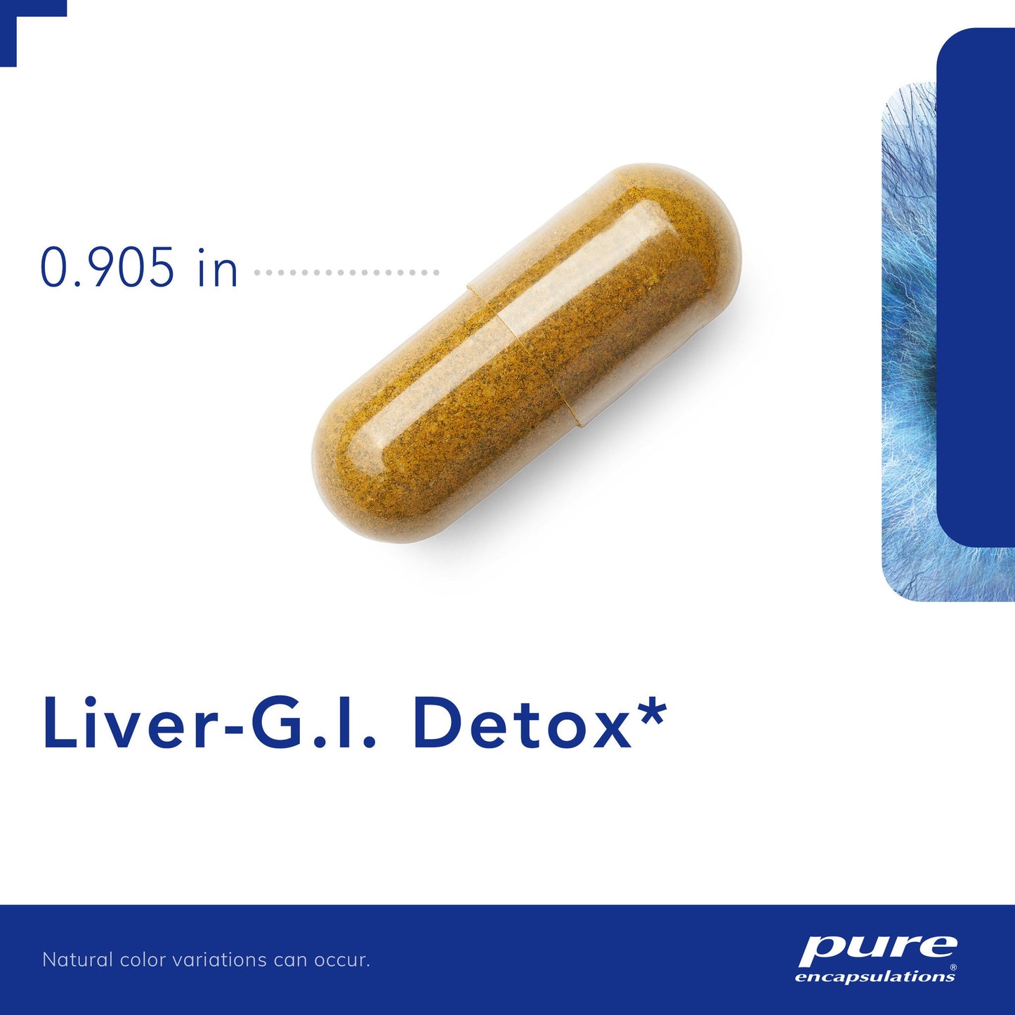 Liver GI Detox